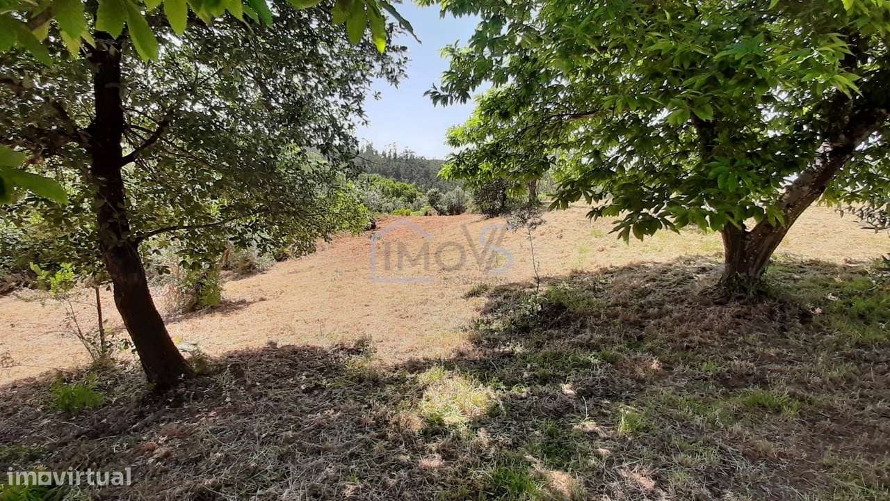 Terreno com Projeto Aprovado para Moradia em Besteiras – Águas Belas-23