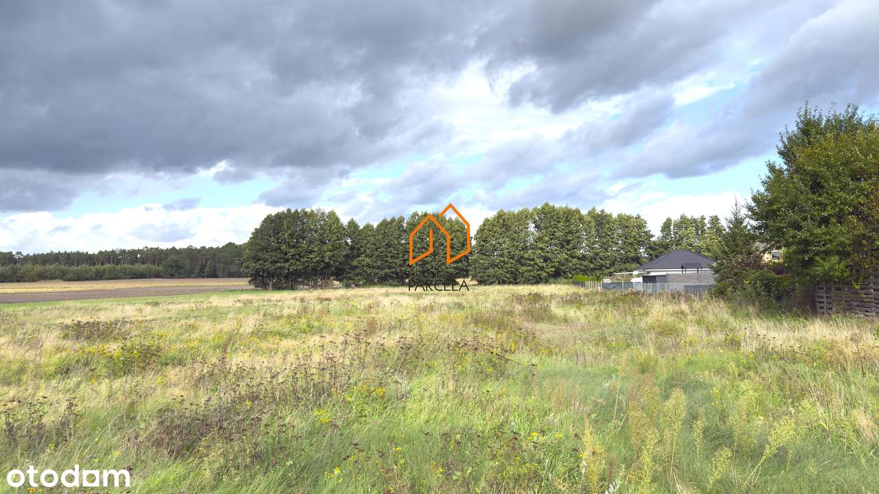 Działka budowlana w Lubonieczku 15 506 m2.-2