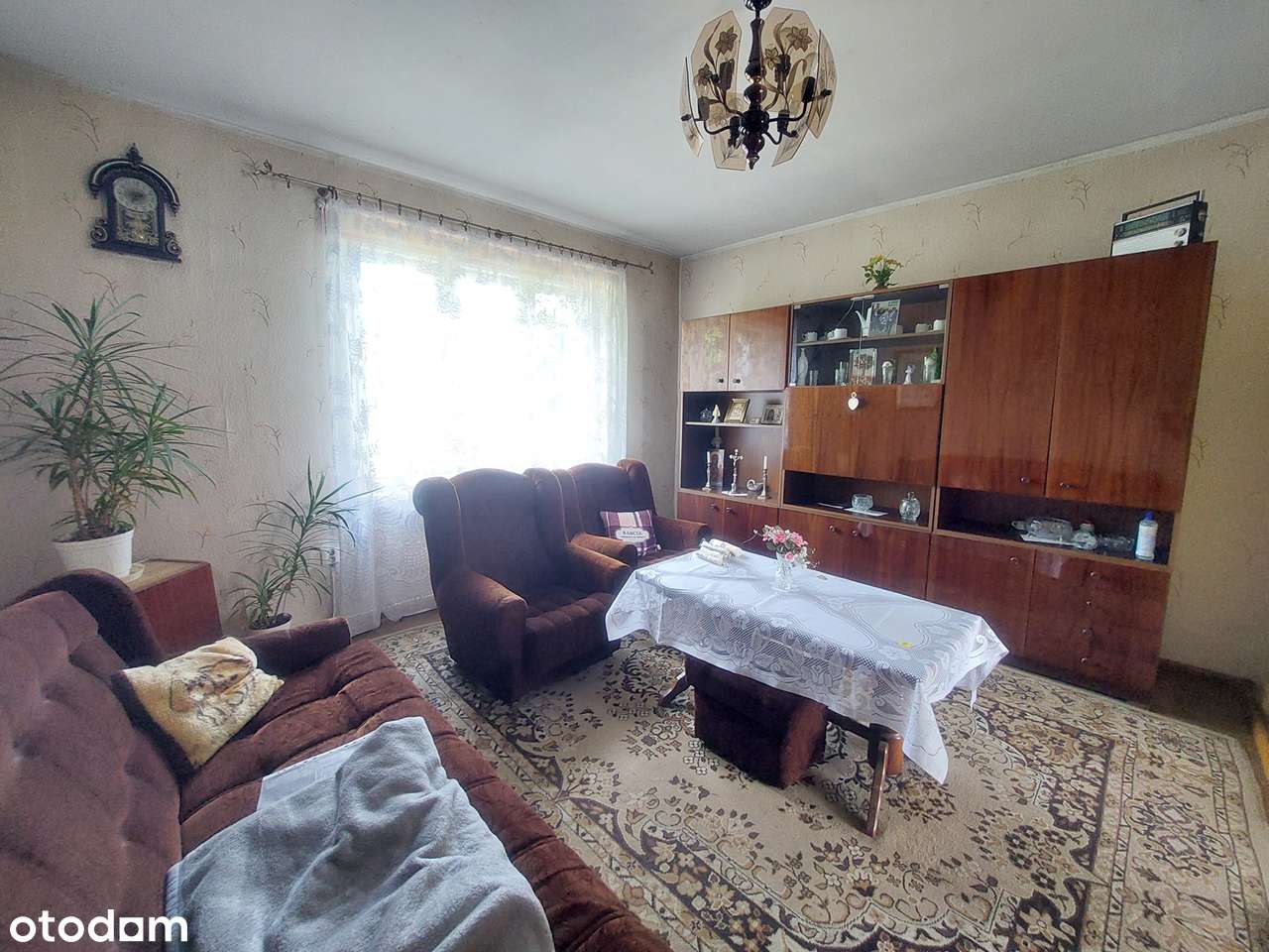 małe gospodarstwo ,Pniewy, Lwówek-14