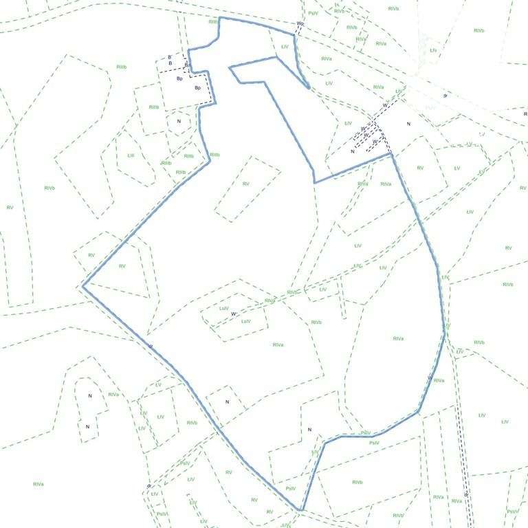 Duża działka rolna w Golczewie - 31.87 ha - Pełny obrazek: 5/8