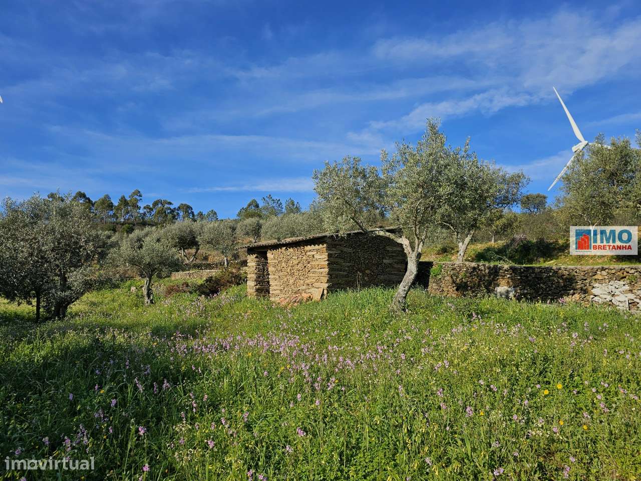 Quinta c/ 3.500m2 -  Cebolais de Cima-Retaxo - Grande imagem: 2/14