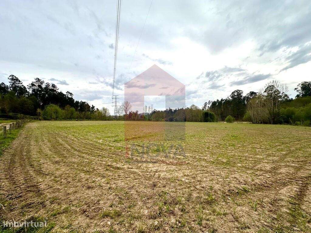 Terreno agrícola, Lanhas - Grande imagem: 5/8
