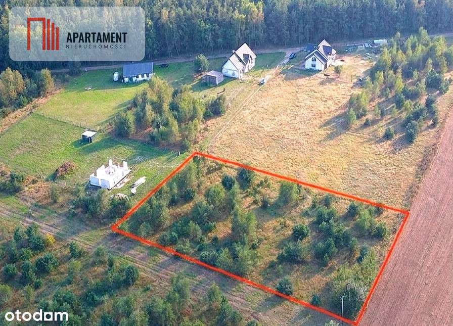 Bogato zalesiona działka z widokiem na las