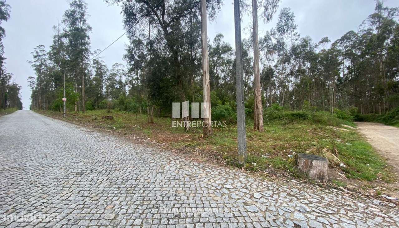 Venda de Terreno com 10.000 m2, Tougues, Vila do Conde - Grande imagem: 3/17
