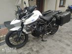 Triumph Tiger - 1