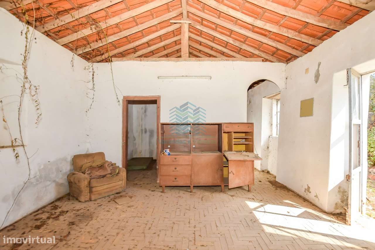 Quinta para remodelar - Torres Novas-4
