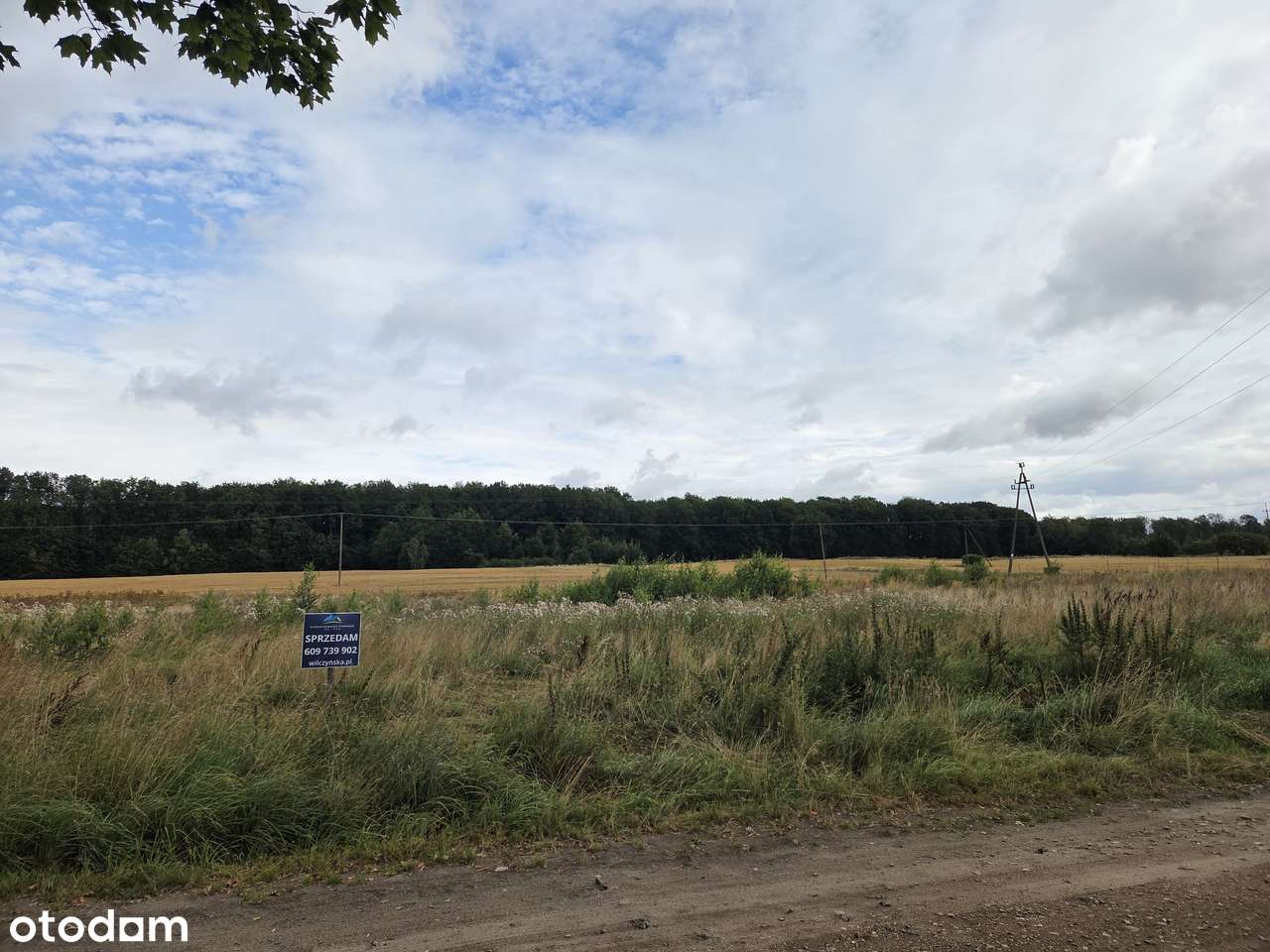 Działka budowlana Sieroczyn-15