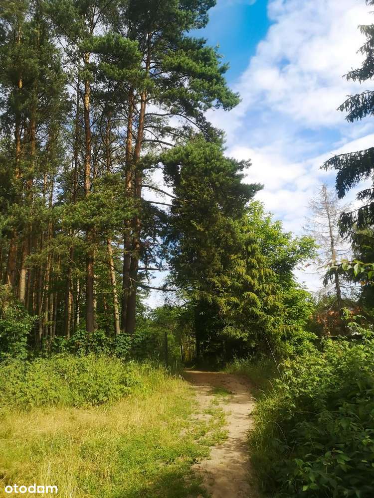 Piękna działka przy lesie i plaży-5