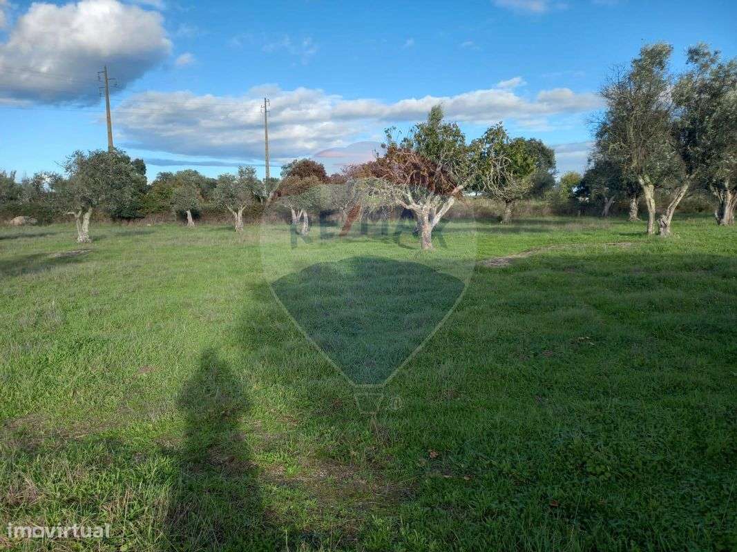 Terreno  para venda - Grande imagem: 4/6