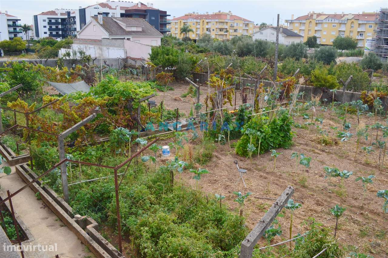 ANG901 - Terreno Urbano para Venda no Entroncamento - Grande imagem: 2/11