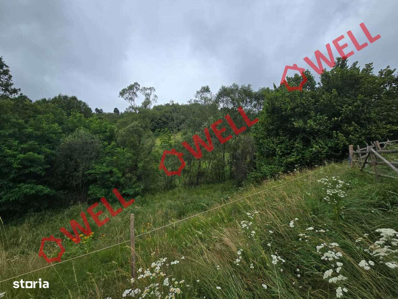 De vânzare teren extravilan loc. Sărămaș, com. Barcani! - Imagine principală: 3/6