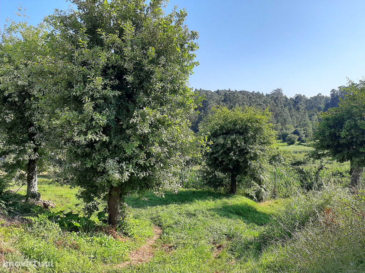 Terreno em Sandim