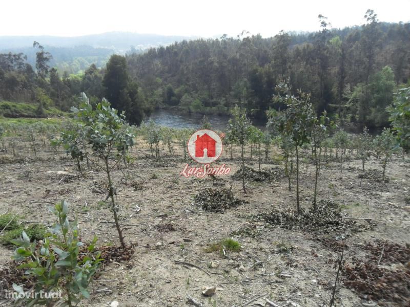 Terreno agrícola de 20.000m2 em Ferreiró, Vila do Conde