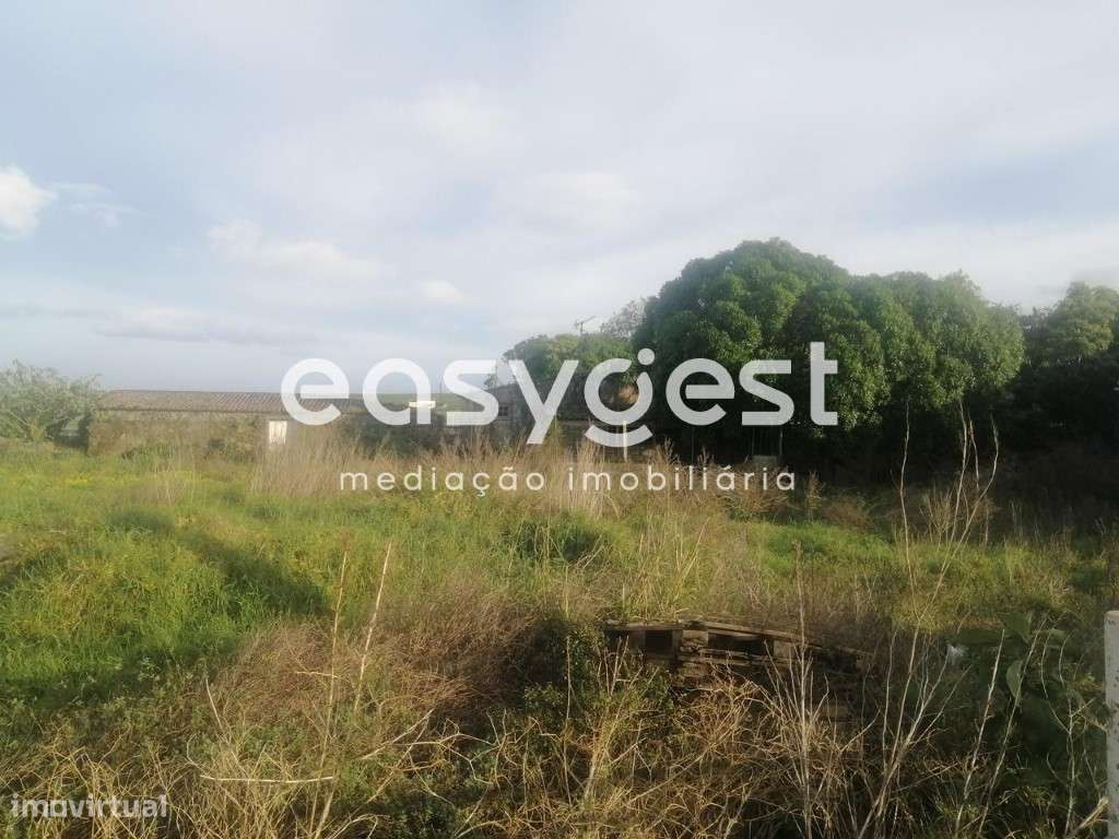 Dois terrenos urbanos situados na freguesia das Fontinhas - Grande imagem: 3/12