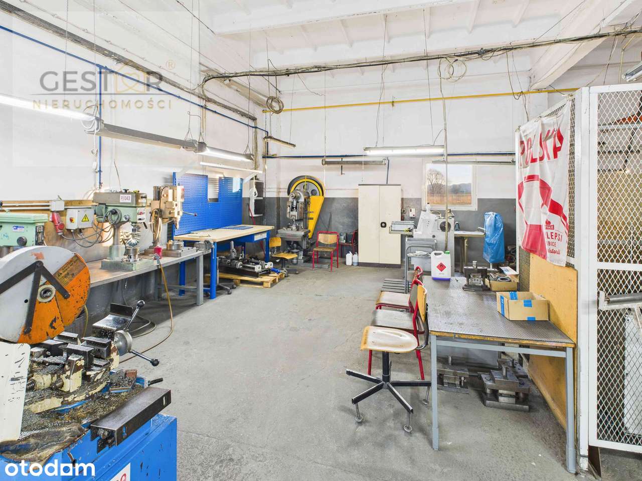 Kompleks hal produkcyjno-magazynowych z biurami – gotowy do inwestycji-13