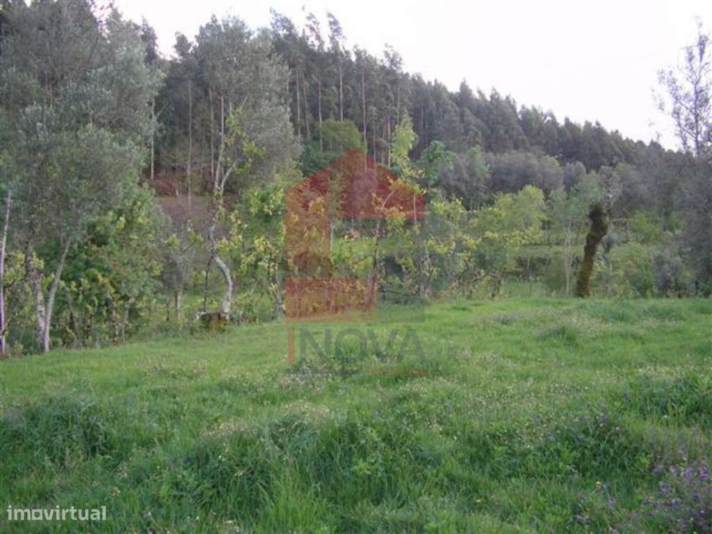 Terreno agrícola, Barros - Grande imagem: 5/8