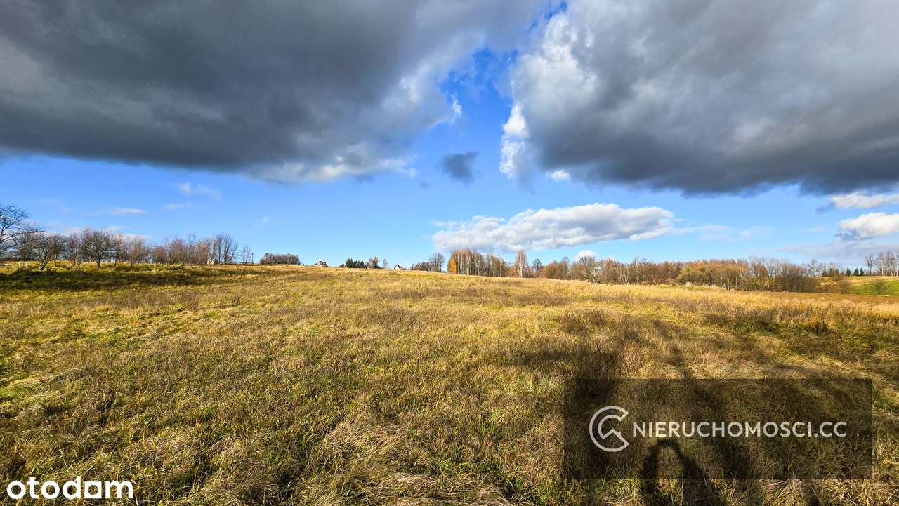 Sprzedaż 1/3 udziału - 3,56ha działek i gospodarstwo rolne-12