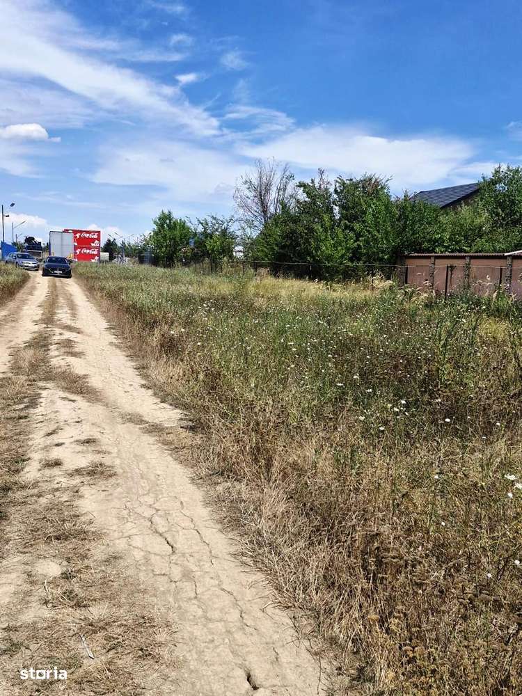 Ciorogarla -Padure-6