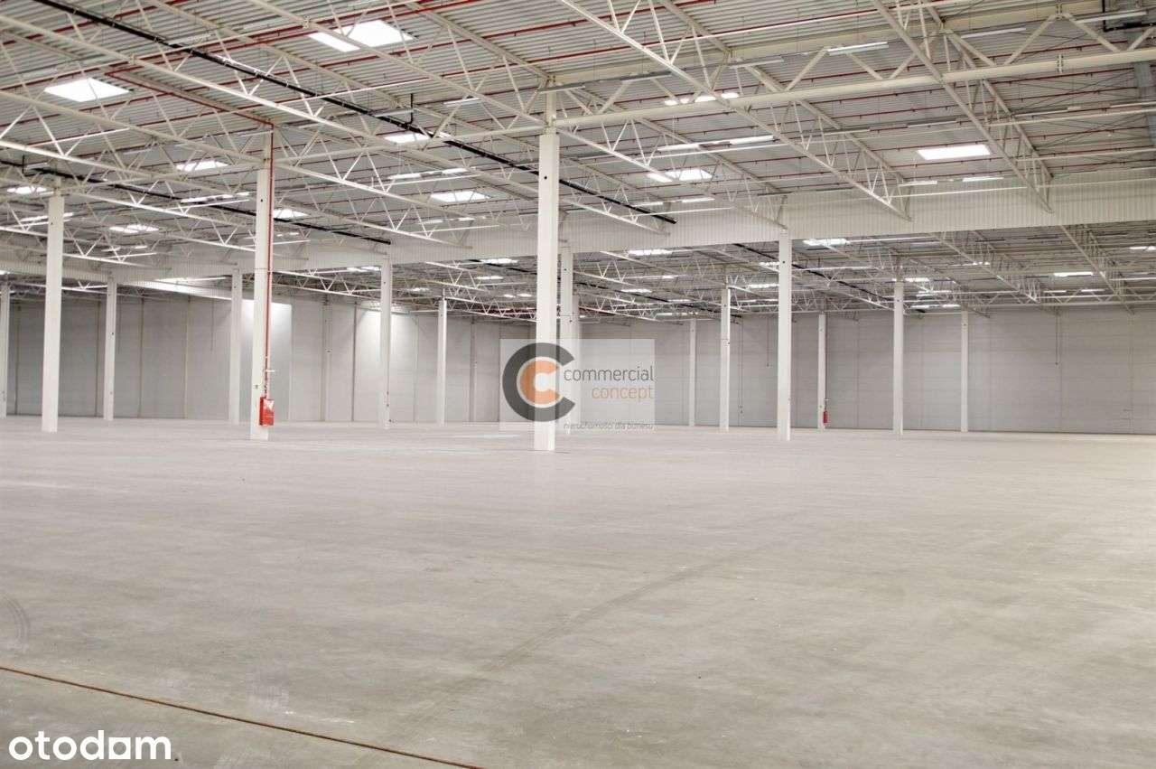 magazyn wysokiego składowania| 0% prowizji - Pełny obrazek: 4/4