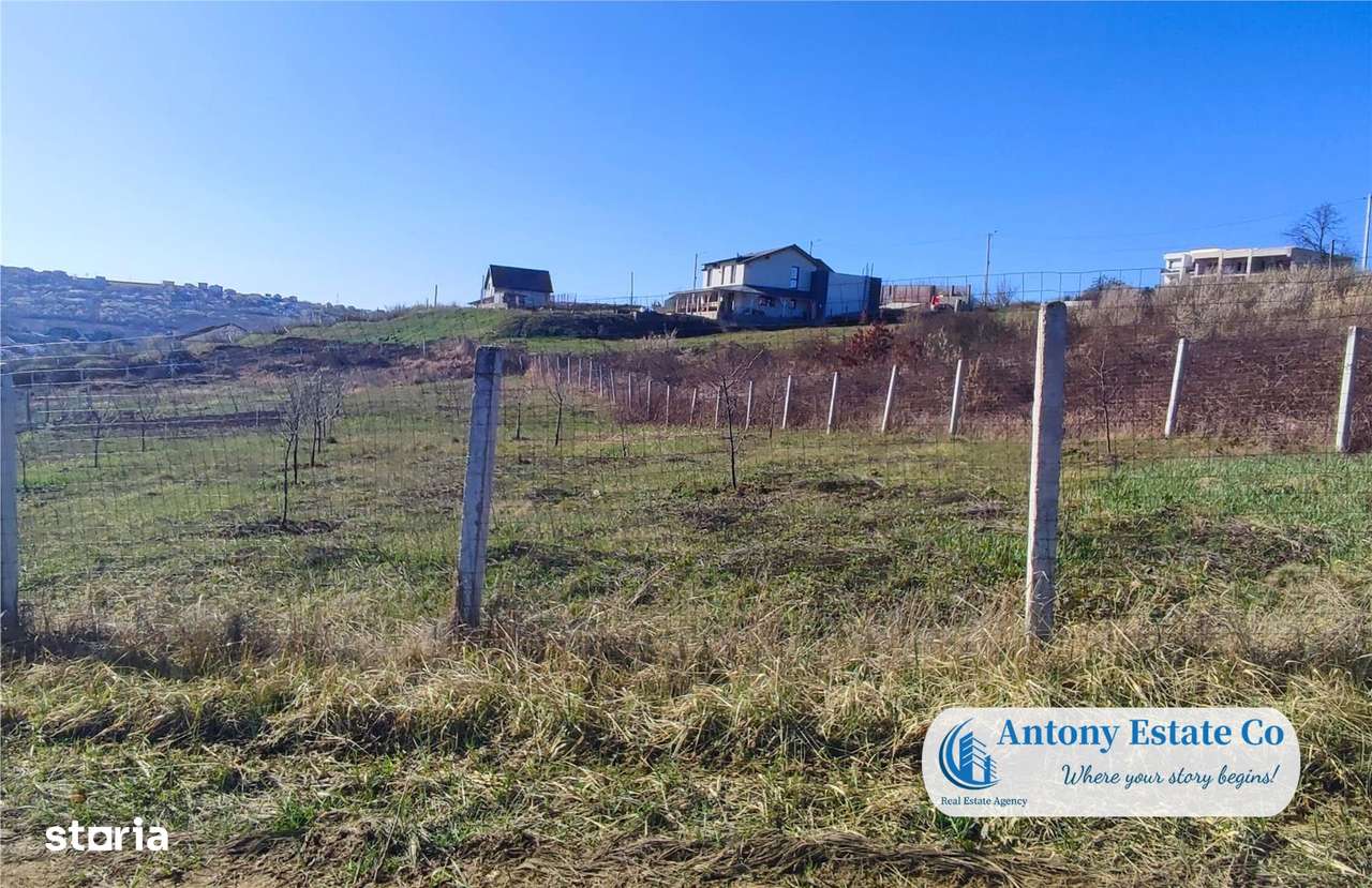 Teren intravilan de vanzare - Zona Saldabagiu De Munte, Bihor - Imagine principală: 4/6