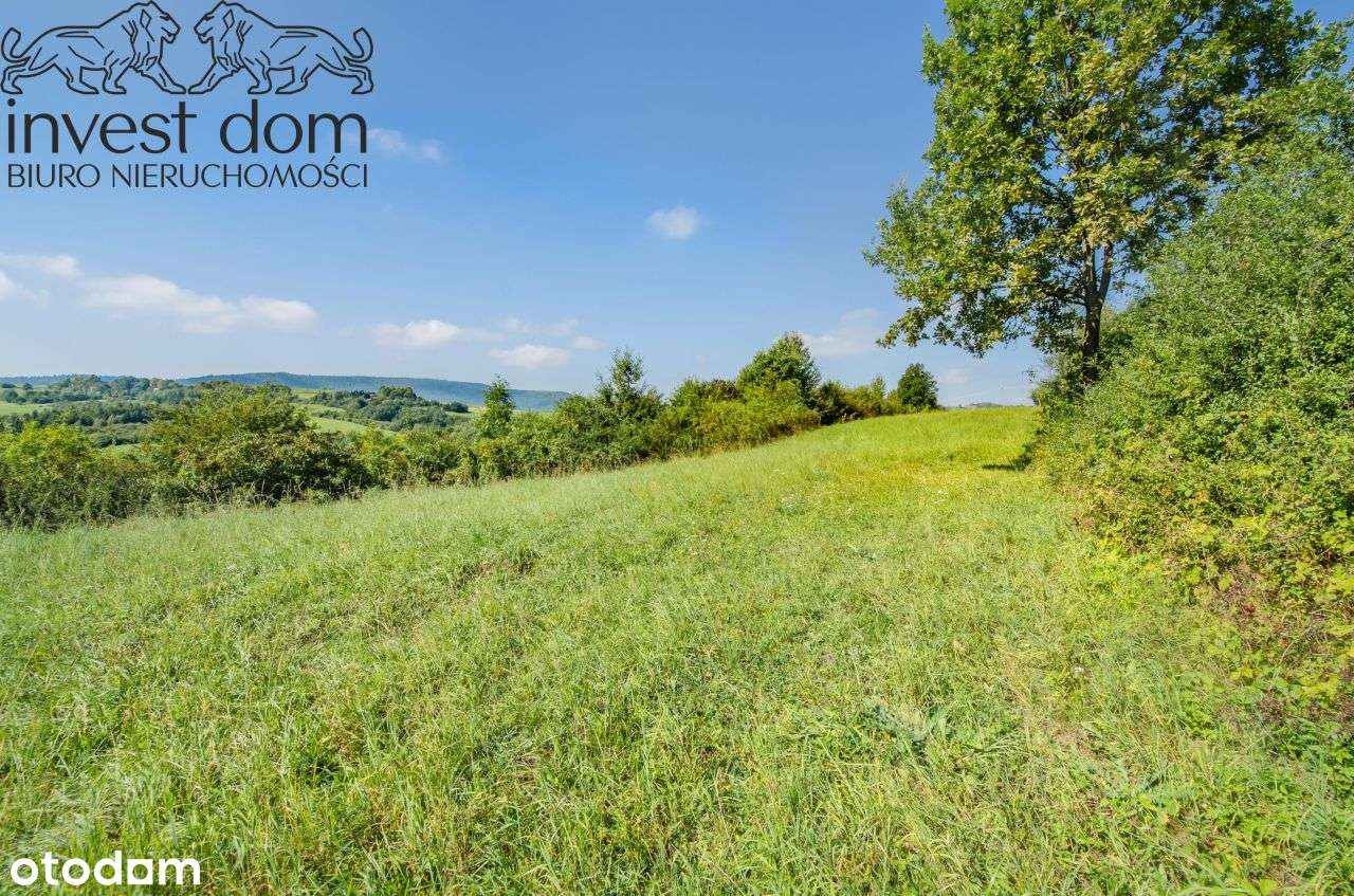 ..wymarzona działka w Ropicy Polskiej !!!-10