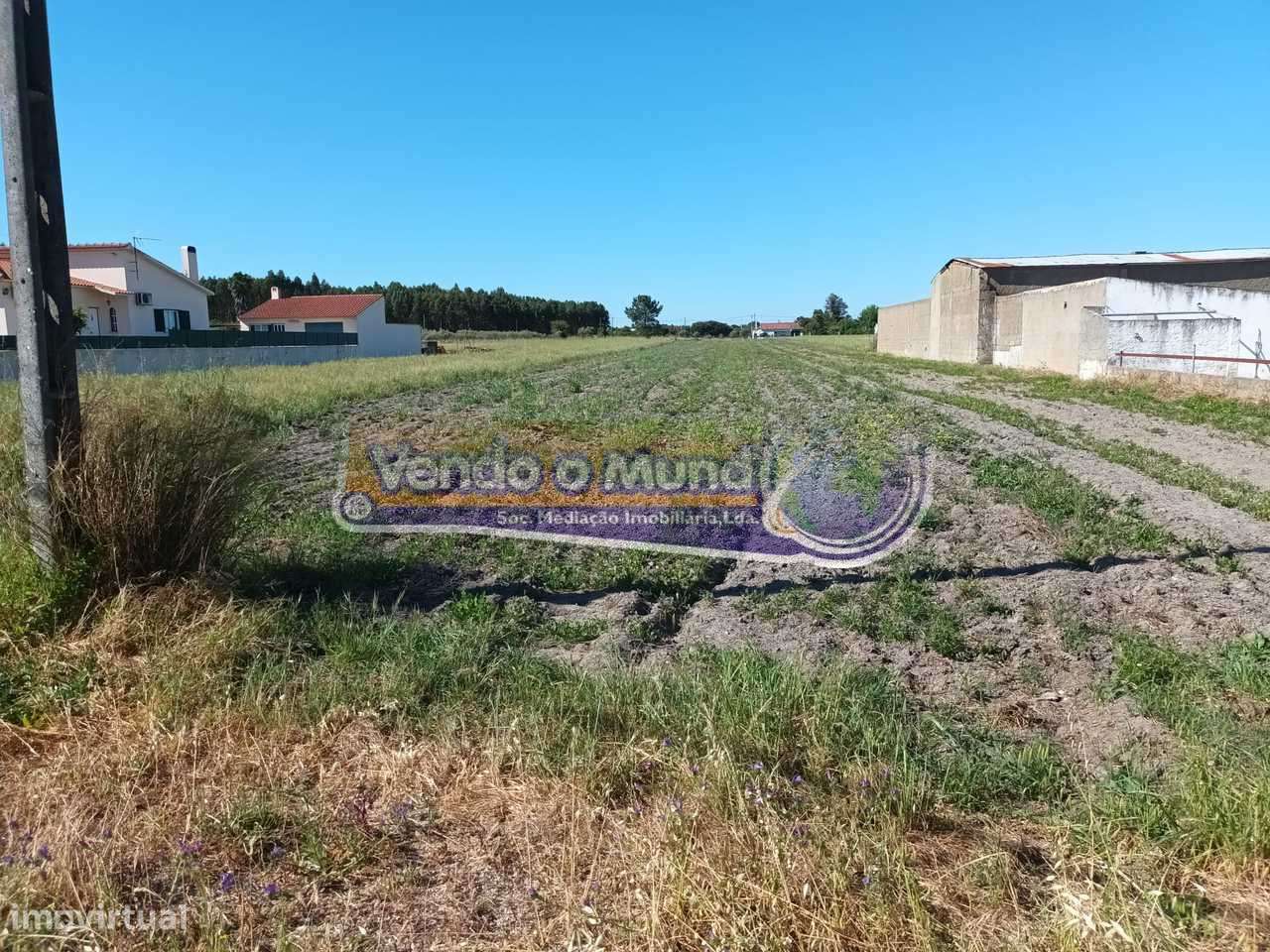 Terreno em Marinhais (M645) - Grande imagem: 3/5