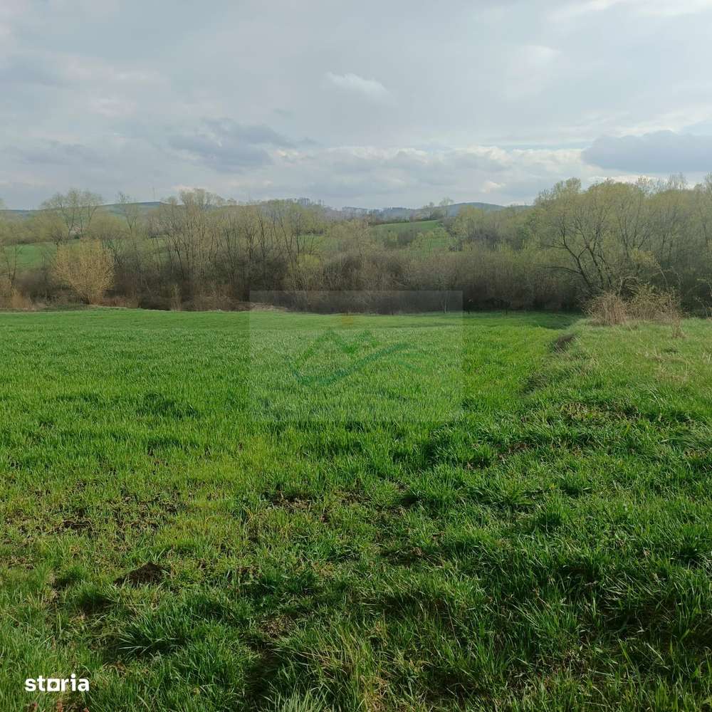 Teren intravilan Ilișești/Suceava - Imagine principală: 3/5