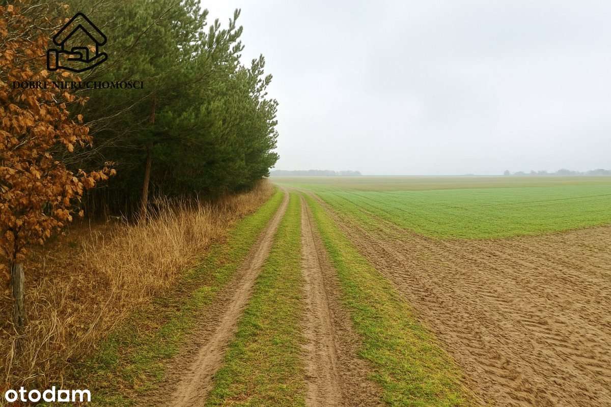 Działka rolna 6900 m2 - Trawniki - 40 000 zł-4