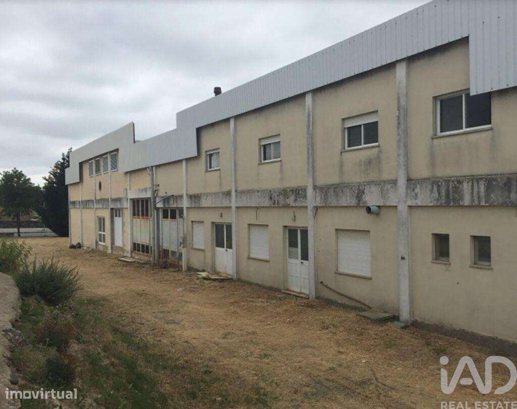 Loja / Estabelecimento Comercial em Idanha-a-Nova e Alcafozes de 3734, - Grande imagem: 2/11