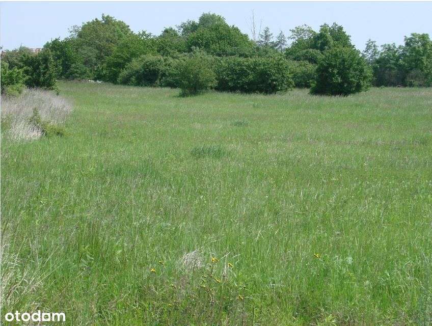 Działka, 2 748 m², Głoska - Pełny obrazek: 5/7