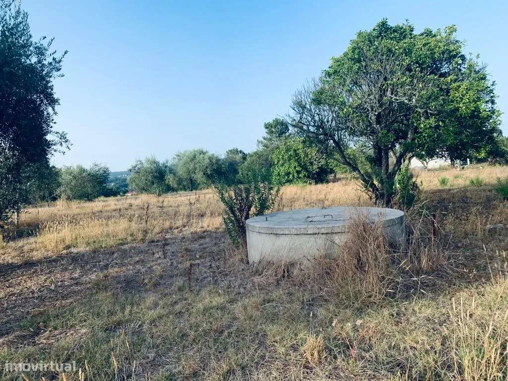 Terreno Urbano II Pombal - Grande imagem: 2/16