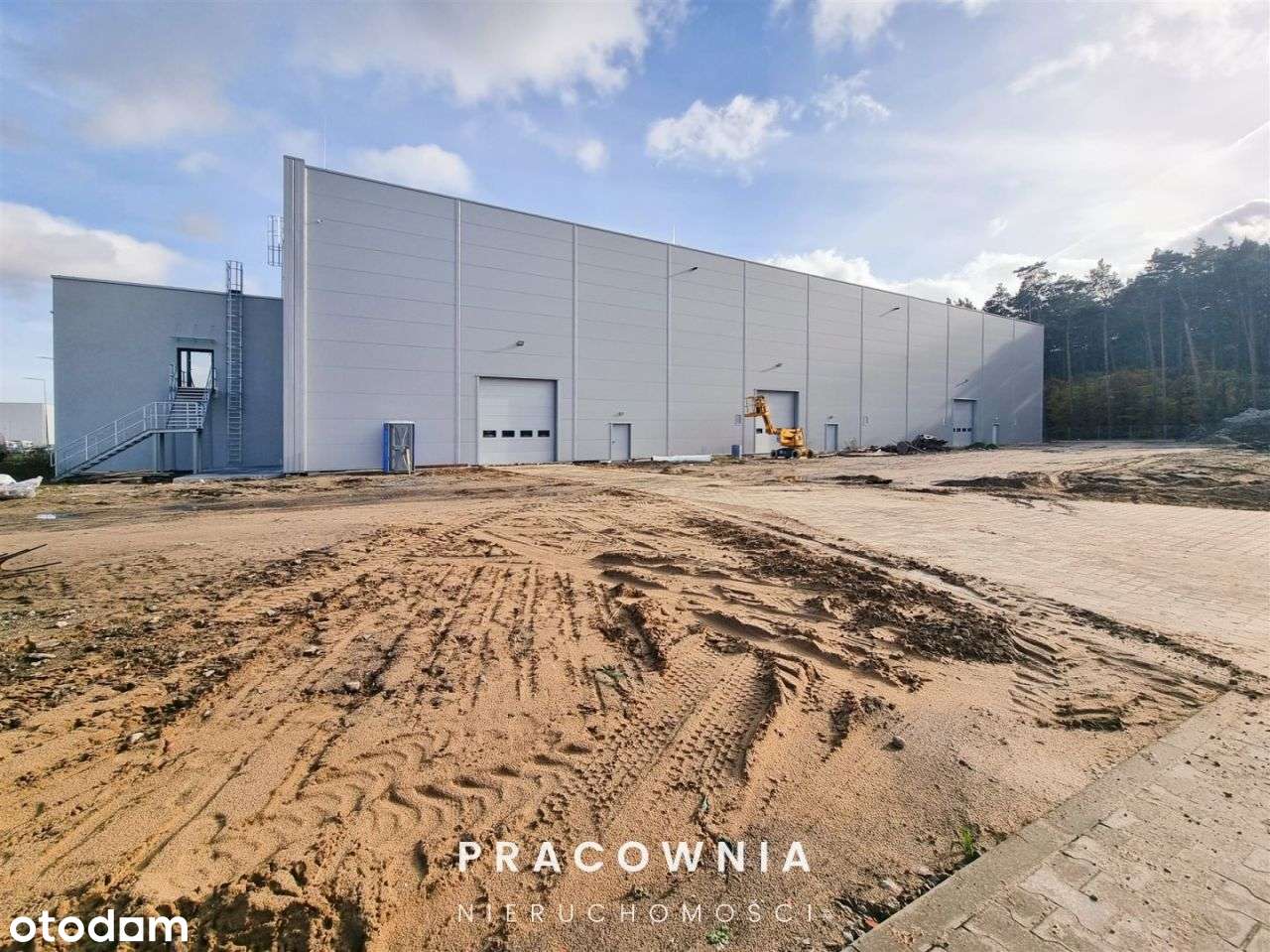 Do wynajęcia hala i budynek biurowy - Pełny obrazek: 5/19