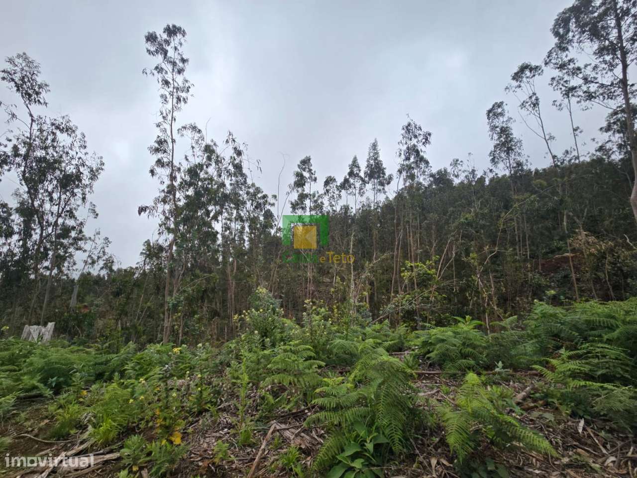 Terreno localizado no Santo da Serra - Grande imagem: 4/10