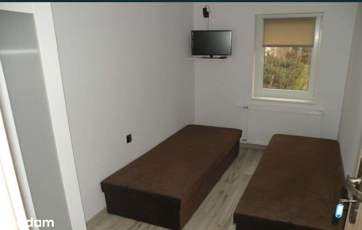 Wynajme - Pełny obrazek: 2/7