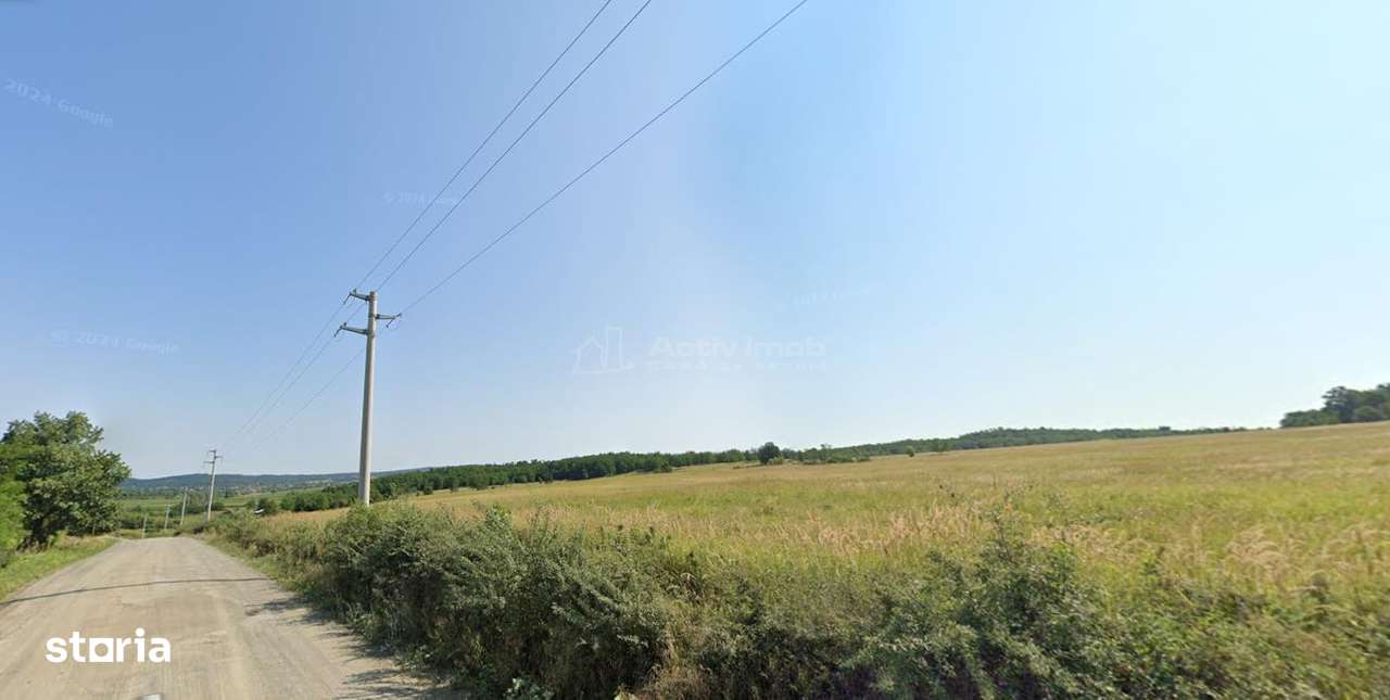 Forotic, Teren Drept Pentru Investitie, 13.2 Hectare (132.000 Mp.), La - Imagine principală: 4/8
