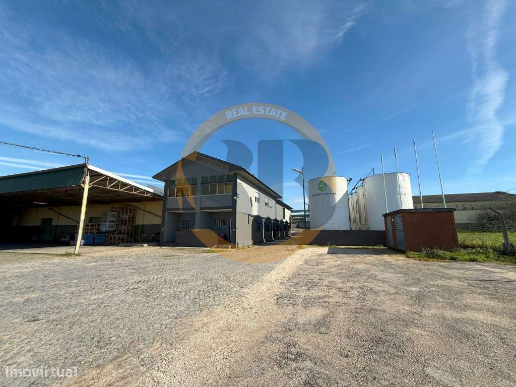 Armazém Industrial em Estarreja! PARA ARRENDAMENTO - Grande imagem: 5/6