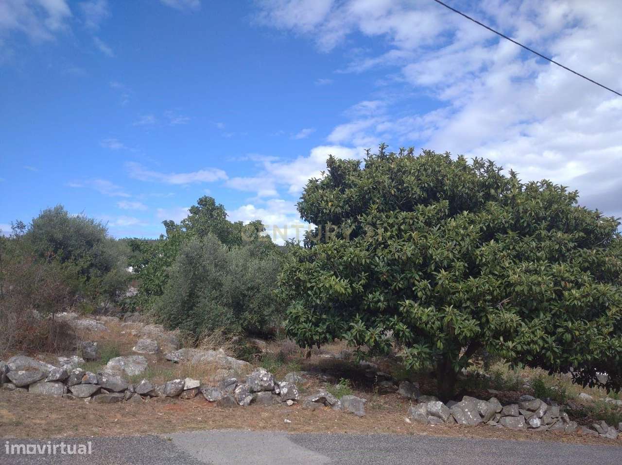 Terreno Urbanizável em Mira de Aire - Localização Privilegiada e Tranq - Grande imagem: 4/5