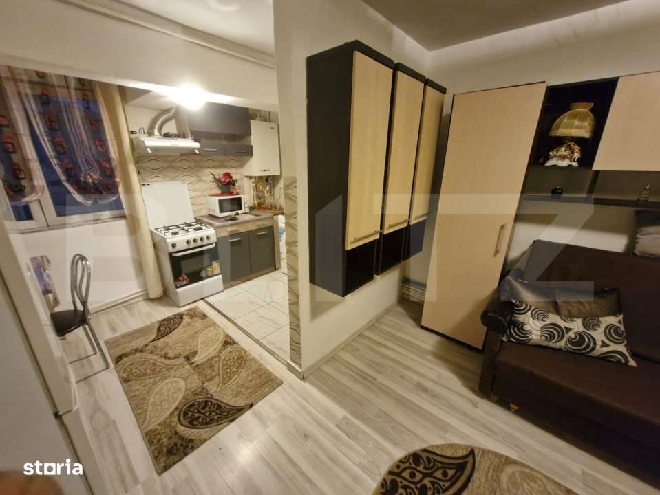 Garsoniera de vanzare, Dragos Voda - Imagine principală: 2/8