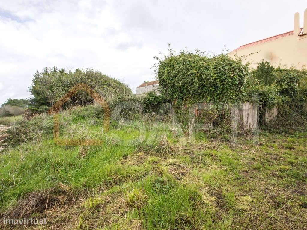 Moradia T3 térrea para recuperar - Grande imagem: 5/7