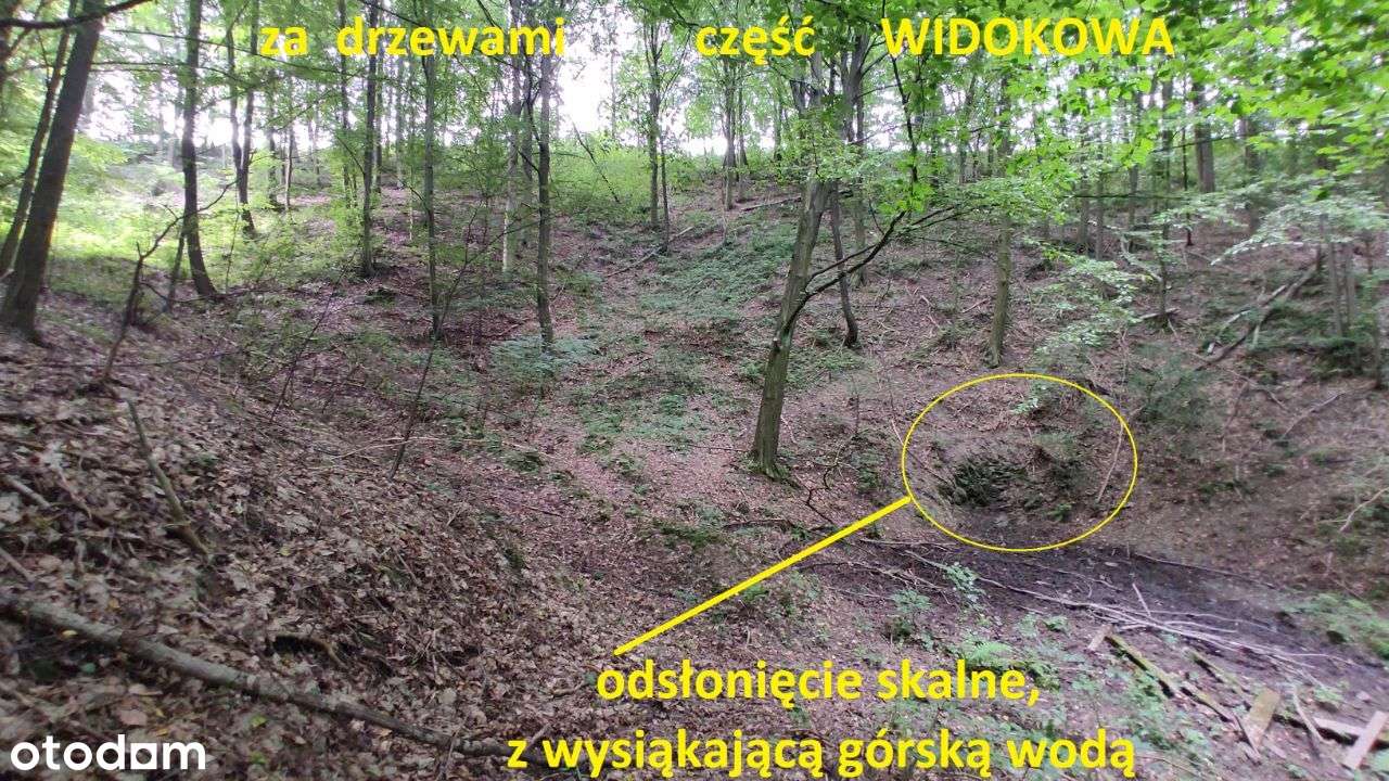 WIDOKOWA działka na WZGÓRZU z panoramą na Góry Św.-10
