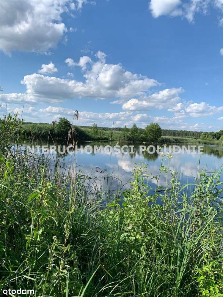 Wyjątkowy dziewiczy teren - Pełny obrazek: 5/14