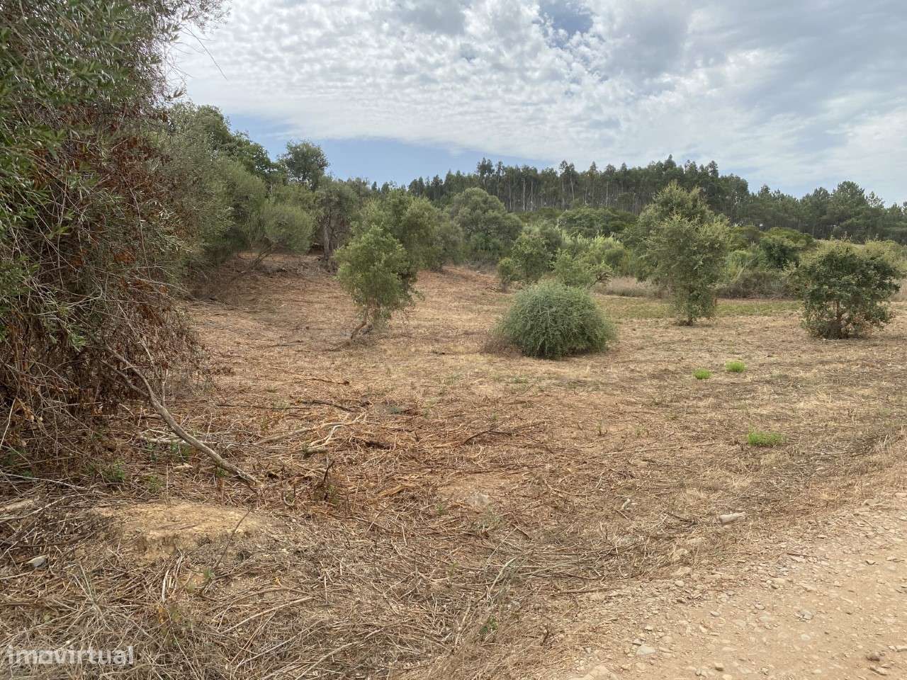 Terreno Rústico Alfambras - Grande imagem: 4/5