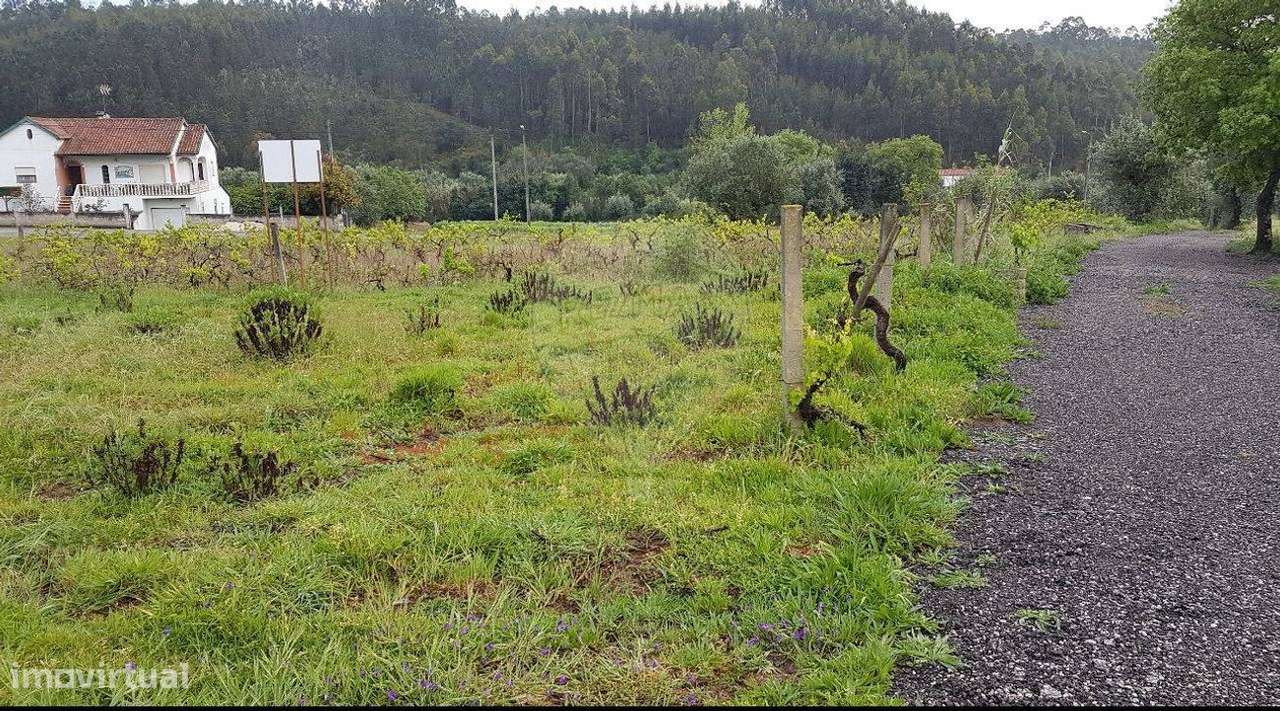 Terreno  para venda - Grande imagem: 3/7