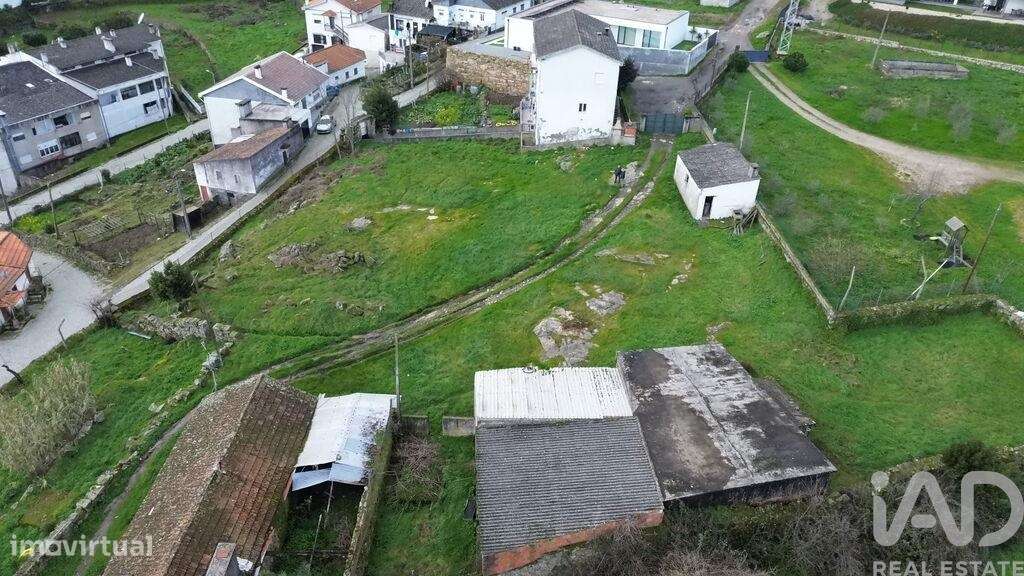 Terreno para construção em Alijó - Grande imagem: 5/15