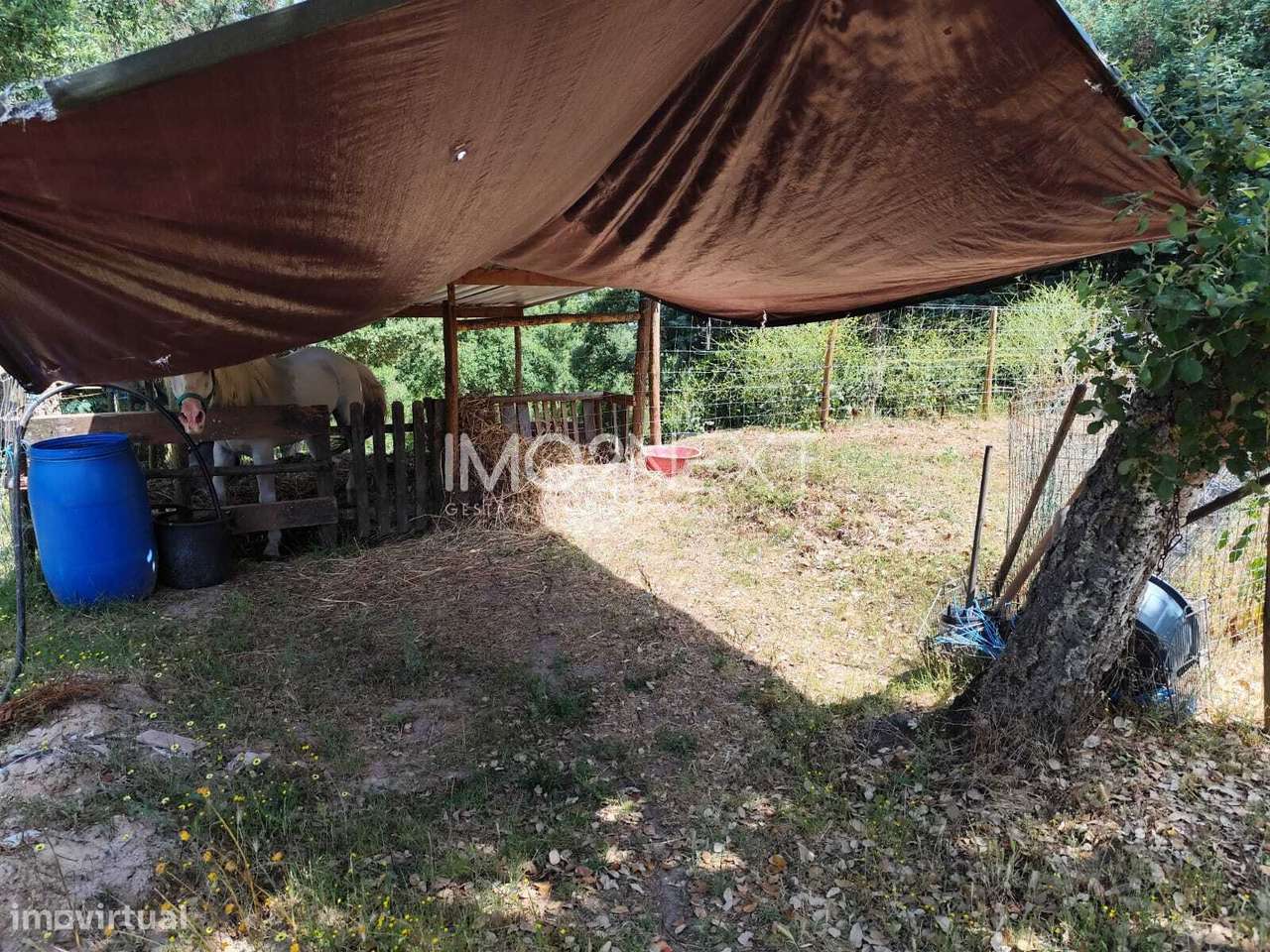 Terreno Rústico com Piscina e Bungalow || Azabucho || Pousos || Leiria-26