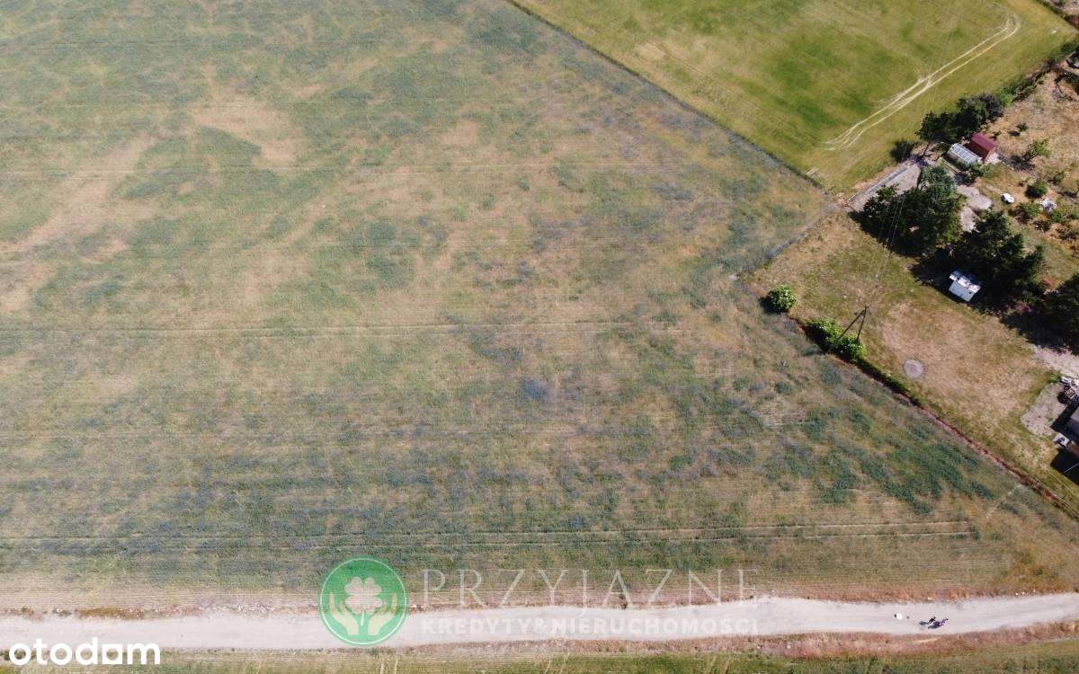Działki budowlane gm. Pobiedziska -> ZŁOTNICZKI - Pełny obrazek: 4/9