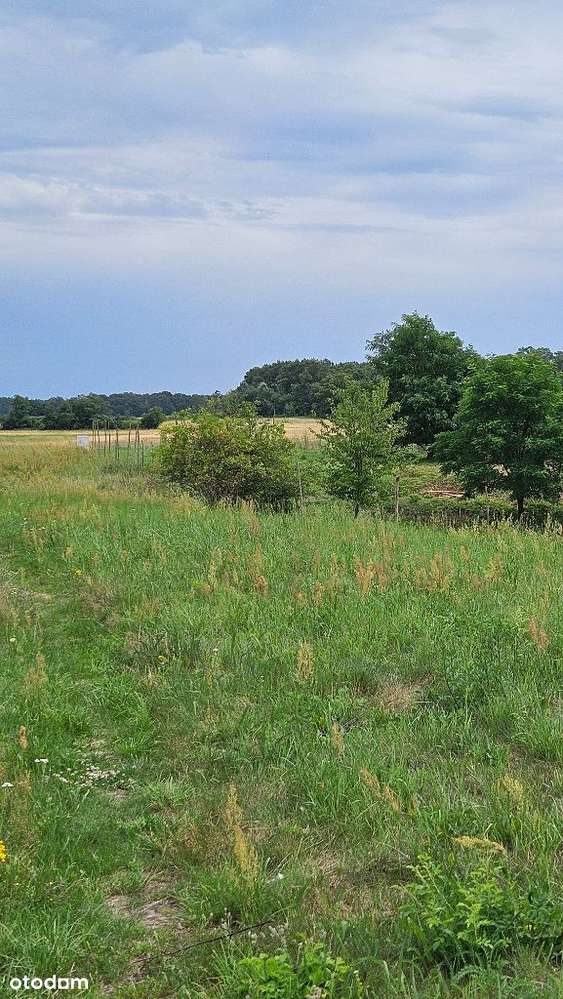 3838m2 piękna działka bud. Zakrzyce, gm. Miękinia-5