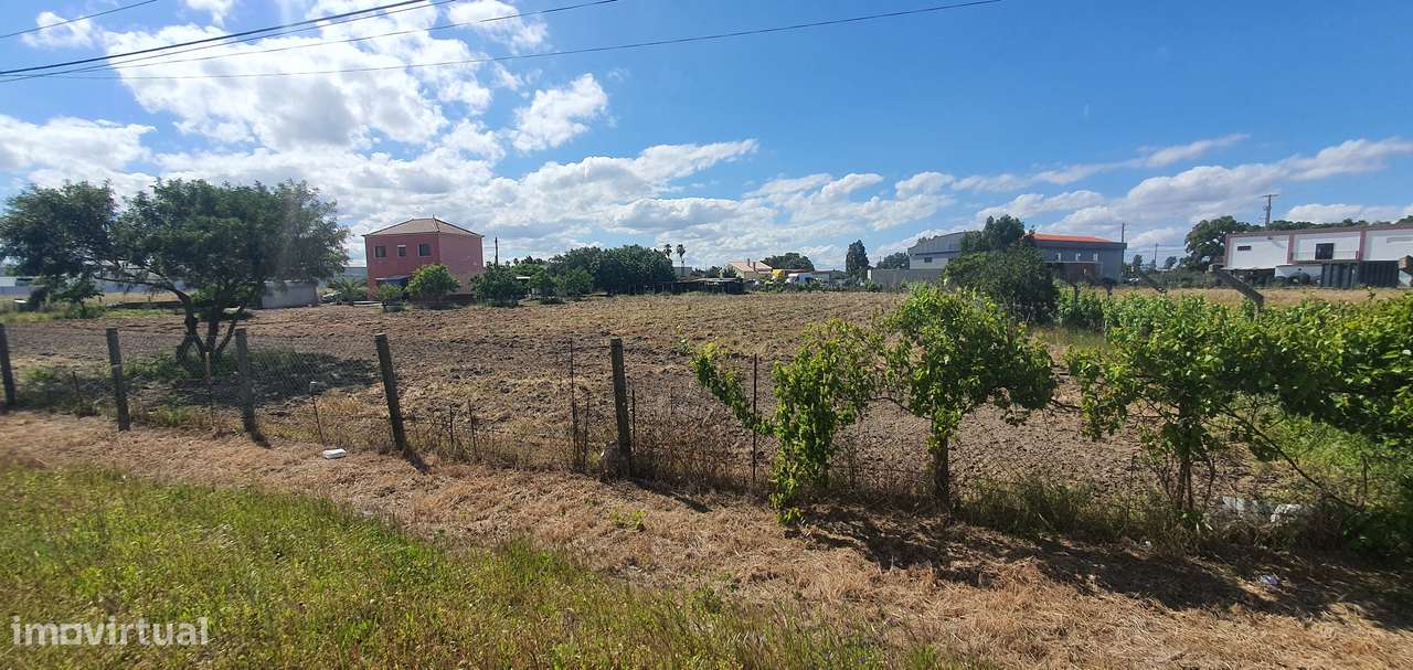 Quinta  5000m2 Viver no Campo Com a Cidade Por Perto Passil Alcochete-40