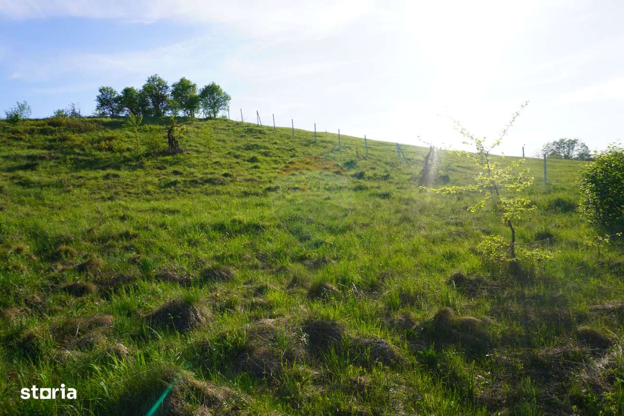 Teren 38,592mp Sighetu Marmatiei / Strada Mocăniței - Imagine principală: 4/20