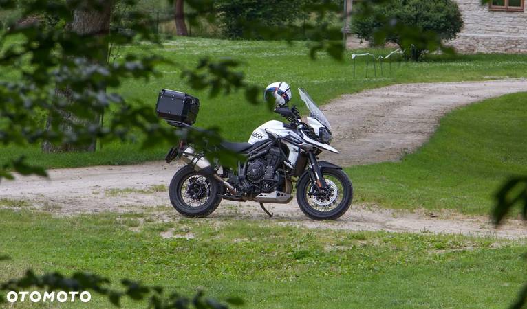 Triumph Tiger - 4